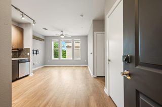 1900 Barton Springs RD 5015, Austin, TX 78704