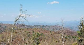 Tbd Walnut Mountain Road, Roan Mountain, TN 37687