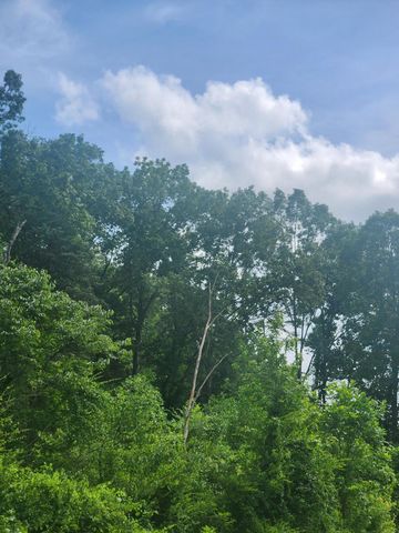 0 River Road 81 8, Decatur, TN 37322