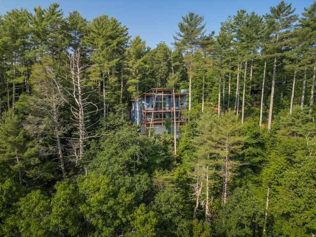 71 Laurel Creek Way, Blue Ridge, GA 30513