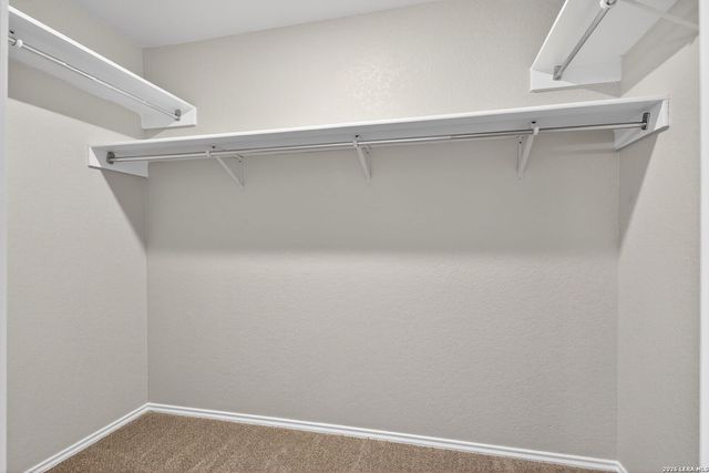 16103 Branding Pass, San Antonio, TX 78247