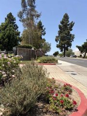 5706 Baltimore Dr 352, La Mesa, CA 91942
