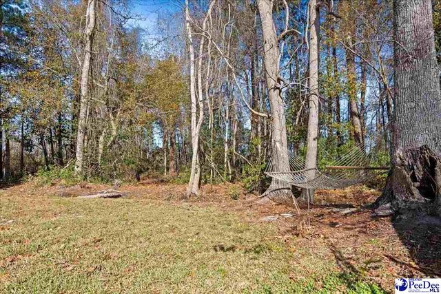 249 E Main St, Scranton, SC 29591