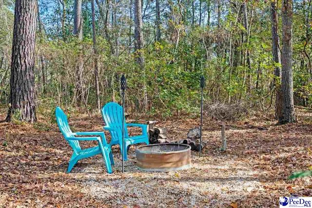 249 E Main St, Scranton, SC 29591