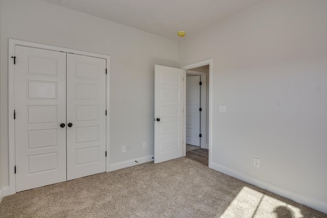 2116 Outfitter Trail, Warrenville, SC 29851