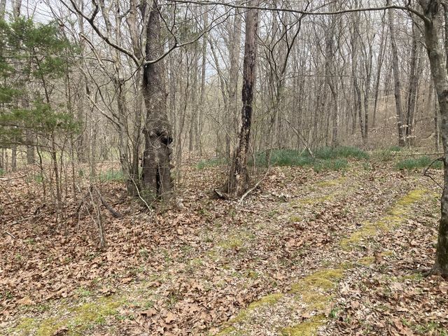 646 Brush Creek Rd, Lawrenceburg, TN 38464