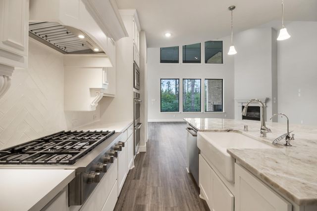 238 Liatris Court, Conroe, TX 77304