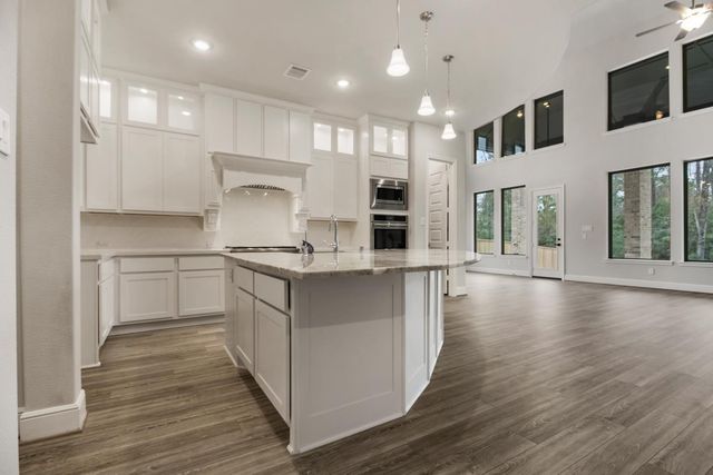 238 Liatris Court, Conroe, TX 77304