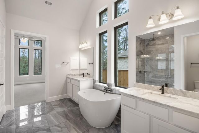 238 Liatris Court, Conroe, TX 77304