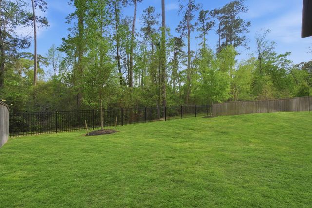 238 Liatris Court, Conroe, TX 77304