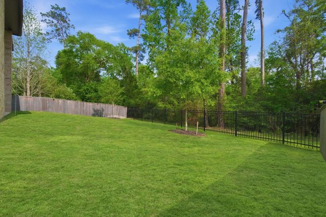 238 Liatris Court, Conroe, TX 77304