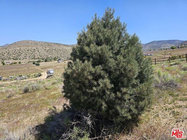 0 Pine Grove Dr, Tehachapi, CA 93561