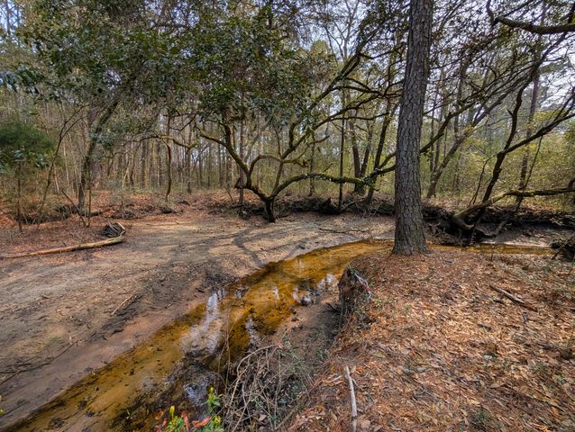 245 Warren Drive, Mcclellanville, SC 29458