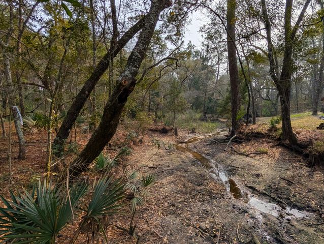 245 Warren Drive, Mcclellanville, SC 29458