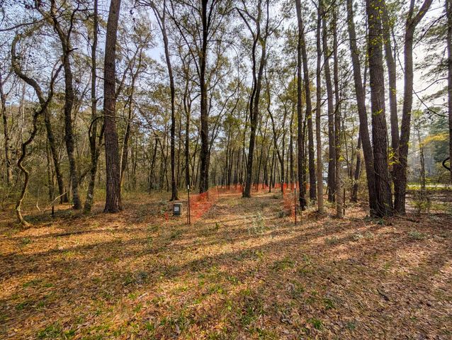 245 Warren Drive, Mcclellanville, SC 29458