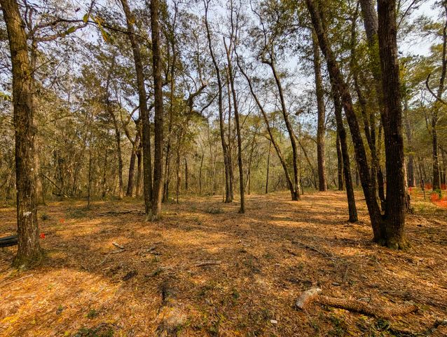 245 Warren Drive, Mcclellanville, SC 29458
