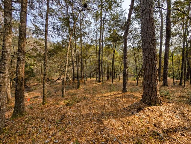 245 Warren Drive, Mcclellanville, SC 29458