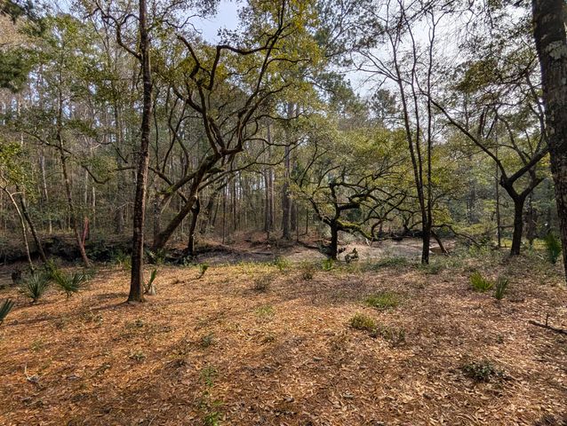 245 Warren Drive, Mcclellanville, SC 29458