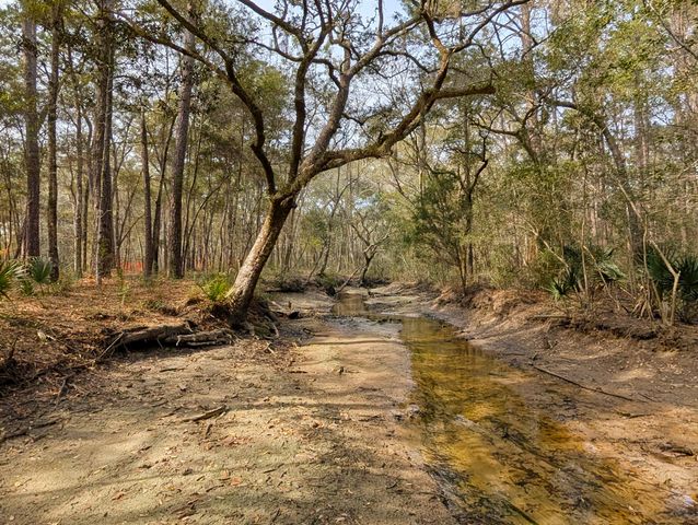 245 Warren Drive, Mcclellanville, SC 29458