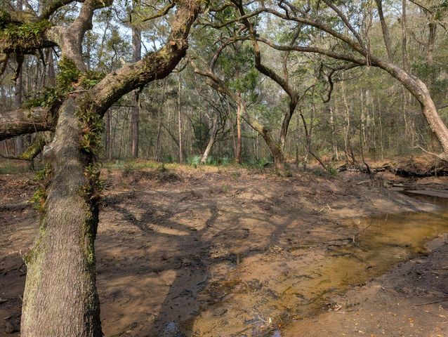 245 Warren Drive, Mcclellanville, SC 29458