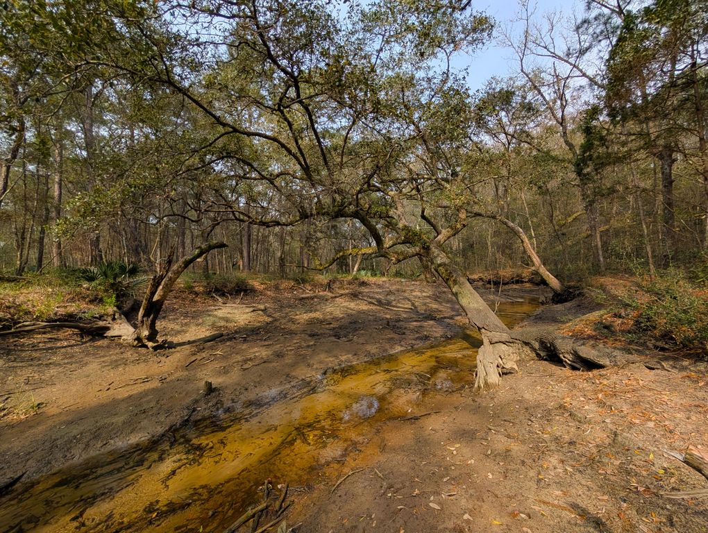 245 Warren Drive, Mcclellanville, SC 29458