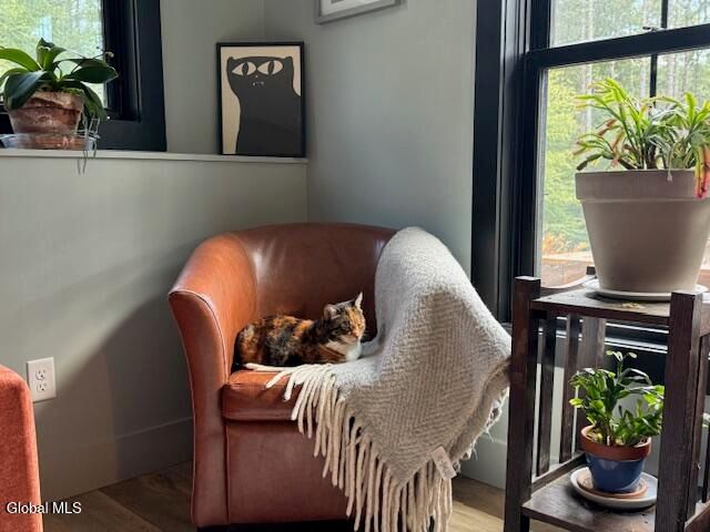 50 Lincoln Mountain Road, Greenfield, NY 12833