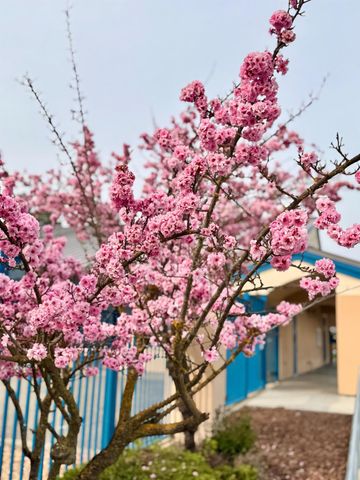 2473 Huckleberry Cir, West Sacramento, CA 95691