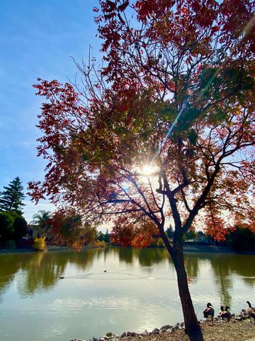 2473 Huckleberry Cir, West Sacramento, CA 95691