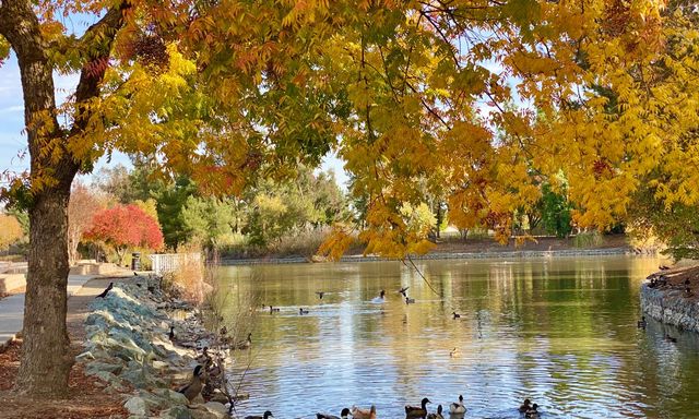 2473 Huckleberry Cir, West Sacramento, CA 95691