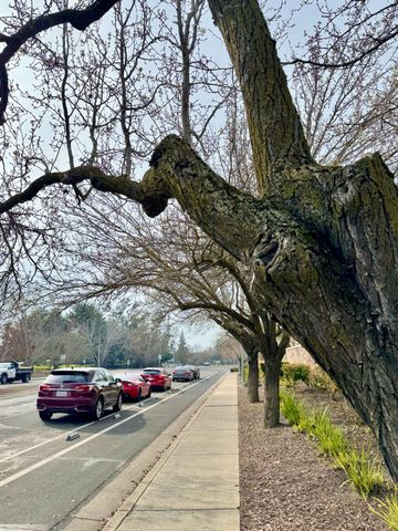 2473 Huckleberry Cir, West Sacramento, CA 95691