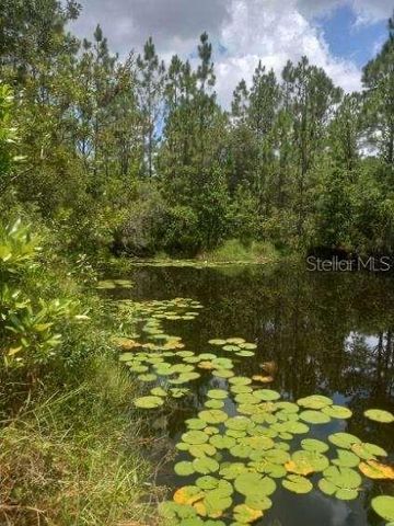 2477 THACKER TRAIL, Kissimmee, FL 34747