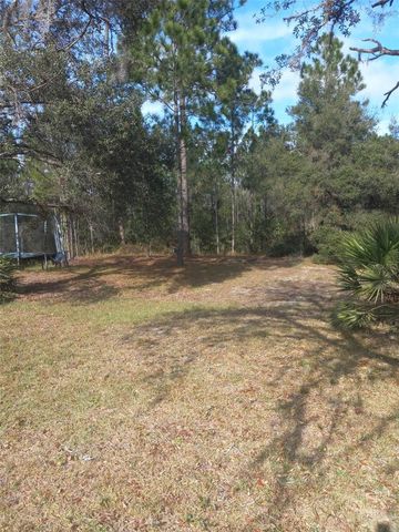 2477 THACKER TRAIL, Kissimmee, FL 34747