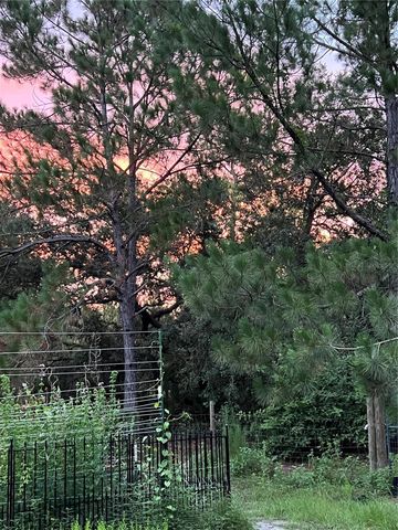 2477 THACKER TRAIL, Kissimmee, FL 34747