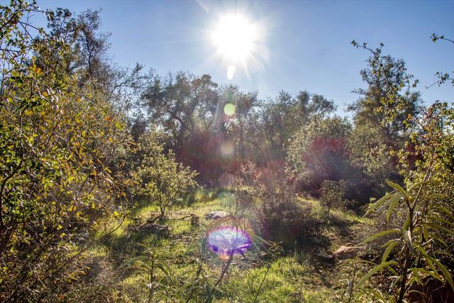 WINOXY 093-130-039-000 Lane, Shingletown, CA 96088