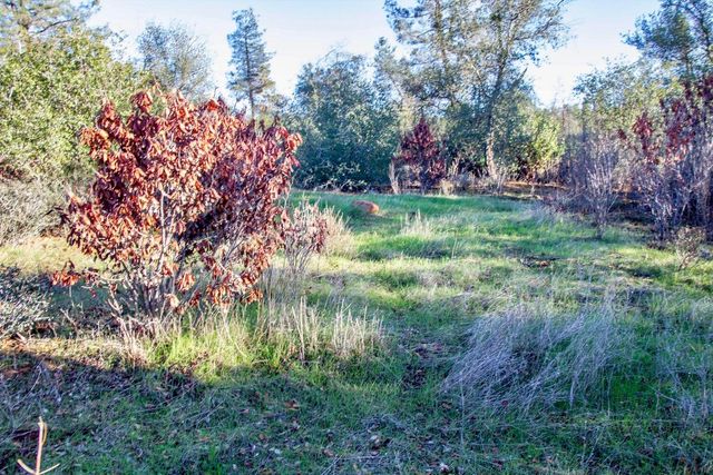 WINOXY 093-130-039-000 Lane, Shingletown, CA 96088