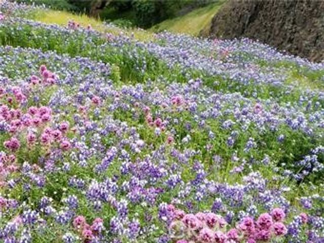 2920 Clark k-17, Butte Valley, CA 95965