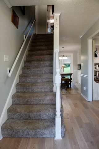 373 Forest Court, Martinez, GA 30907