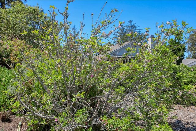 435 Eucalyptus Road, Nipomo, CA 93444