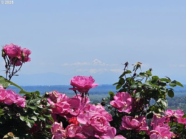 32373 JP WEST Rd, Scappoose, OR 97056