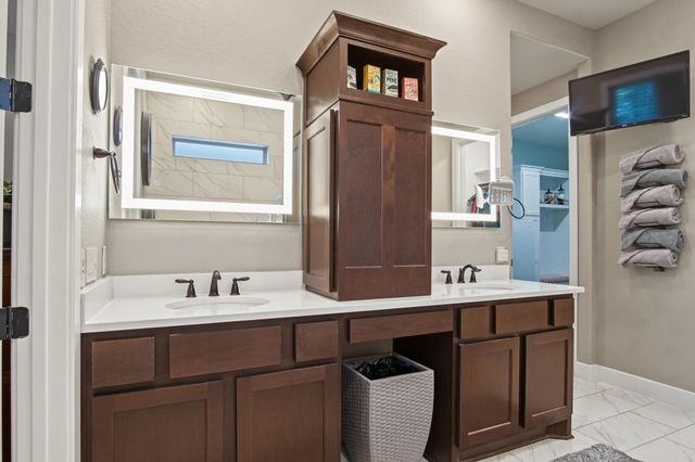 114 S Wild Petunia Trail, Montgomery, TX 77316