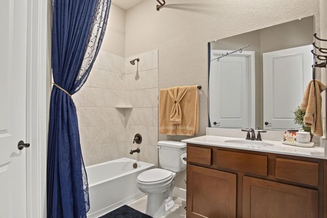114 S Wild Petunia Trail, Montgomery, TX 77316