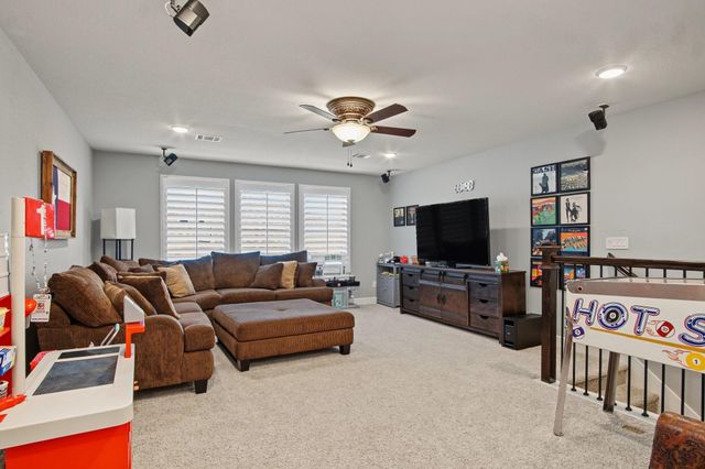 114 S Wild Petunia Trail, Montgomery, TX 77316