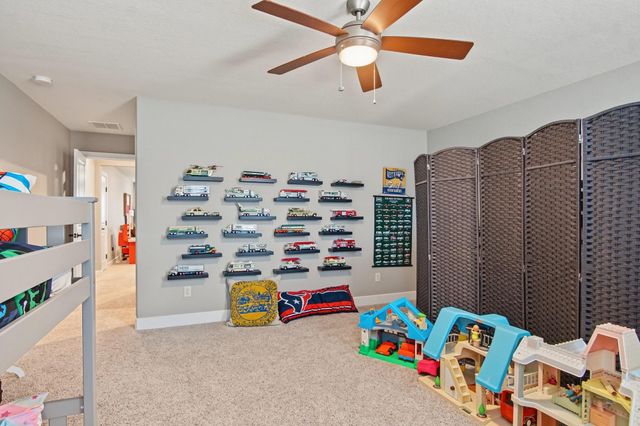114 S Wild Petunia Trail, Montgomery, TX 77316