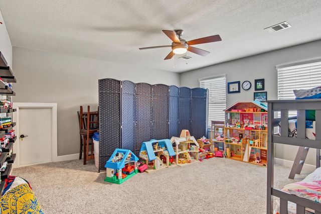 114 S Wild Petunia Trail, Montgomery, TX 77316