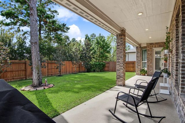 114 S Wild Petunia Trail, Montgomery, TX 77316