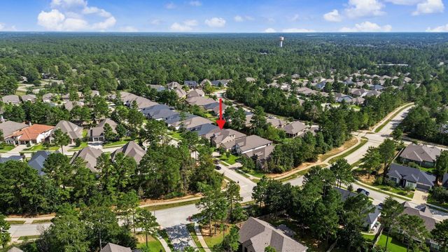 114 S Wild Petunia Trail, Montgomery, TX 77316