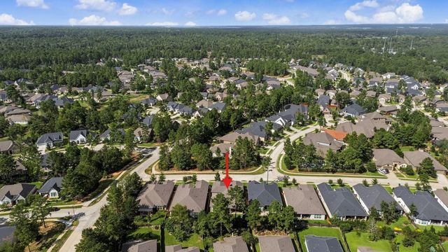 114 S Wild Petunia Trail, Montgomery, TX 77316