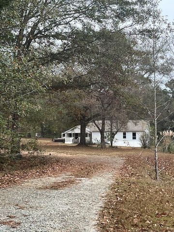 1221 D Hodge Rd, Cottonwood, AL 36320