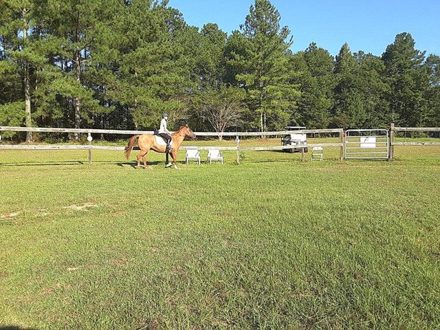 1221 D Hodge Rd, Cottonwood, AL 36320