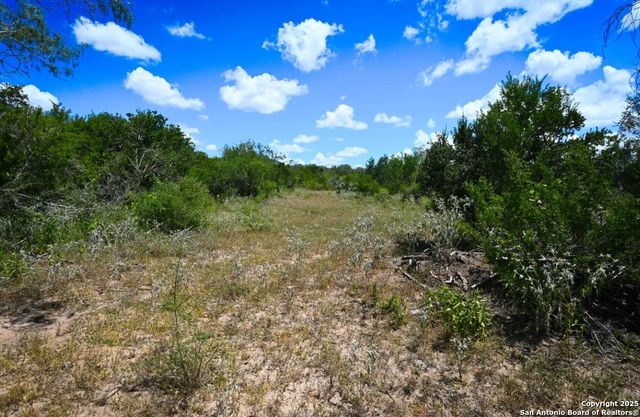 000 CR 342, Beeville, TX 78102